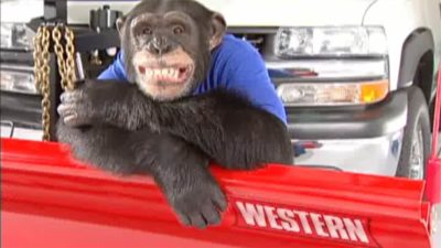 Ultramount tv spot with a chimpanzee smiling and hanging off of the plow